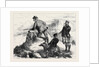 Highland Deerstalking: by George! Missed Again. 1871 by Anonymous