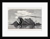 Volcanic Eruption in the Island of Camiguin Philippines 1871 by Anonymous