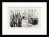 Inauguration of the Statue of Paleocapa at Turin 1871 by Anonymous