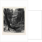 The Red River Expedition: Crossing a Portage 1871 by Anonymous