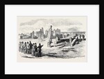 Siege Operations at Chatham: Destruction of the Stockade by Gun-Cotton and Powder 1871 by Anonymous
