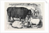 Prize Cattle and Sheep at the Smithfield Club Show 1871 by Anonymous
