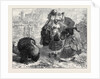 The Compliments of the Season 1871 by Anonymous