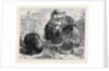 The Compliments of the Season 1871 by Anonymous