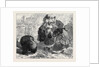The Compliments of the Season 1871 by Anonymous