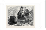The Compliments of the Season 1871 by Anonymous