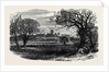West Newton from the Deer Park Sandringham 1871 by Anonymous