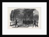 The Civil War in America: Unionist Scouting Party in the Virginian Woods in the Neighbourhood of Alexandria by Anonymous