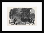 The Civil War in America: Unionist Scouting Party in the Virginian Woods in the Neighbourhood of Alexandria by Anonymous