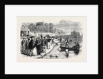 Pleasure Boats on the Ornamental Water in Regent's Park by Anonymous