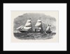 The Peninsular and Oriental Company's New Steamship Mooltan August 3 1861 by Anonymous