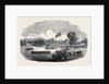 Review of the Cumberland Rifle Volunteers in Rickerby Park Carlisle by Anonymous