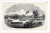 Review of the Cumberland Rifle Volunteers in Rickerby Park Carlisle by Anonymous