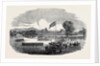 Review of the Cumberland Rifle Volunteers in Rickerby Park Carlisle by Anonymous