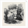 The Caves of Jedburgh Hiding Places of the Covenanters by Anonymous