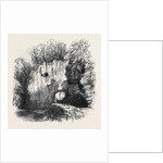 The Caves of Jedburgh Hiding Places of the Covenanters by Anonymous