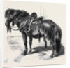 Japanese Horse by Anonymous