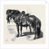 Japanese Horse by Anonymous