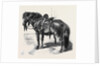 Japanese Horse by Anonymous