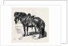 Japanese Horse by Anonymous