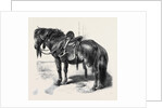 Japanese Horse by Anonymous
