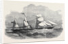 The New Screw Steamer Sicilia by Anonymous
