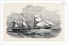 The New Screw Steamer Sicilia by Anonymous