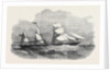 The New Screw Steamer Sicilia by Anonymous