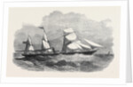The New Screw Steamer Sicilia by Anonymous