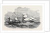 The New Screw Steamer Sicilia by Anonymous