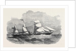 The New Screw Steamer Sicilia by Anonymous