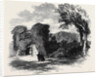 The British Archaeological Association at Exeter Berry Pomeroy Castle by Anonymous