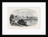 The Government House Viewed from the Eastern Side of the Lower Botanic Garden Sketches from Sydney New South Wales by Anonymous