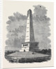 Her Majesty's Visit to Ireland: The Wellington Monument Phoenix Park Dublin by Anonymous