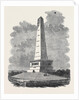 Her Majesty's Visit to Ireland: The Wellington Monument Phoenix Park Dublin by Anonymous