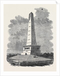 Her Majesty's Visit to Ireland: The Wellington Monument Phoenix Park Dublin by Anonymous