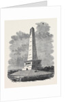 Her Majesty's Visit to Ireland: The Wellington Monument Phoenix Park Dublin by Anonymous