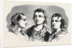 Head Dresses of Friesland Women by Anonymous