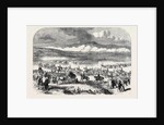 The Queen's Visit to Ireland: Review by Her Majesty on the Curragh of Kildare Charge of Cavalry by Anonymous