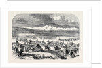 The Queen's Visit to Ireland: Review by Her Majesty on the Curragh of Kildare Charge of Cavalry by Anonymous