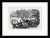 The War in America: Quartermaster's Department Killing Bullocks in the Federal Camp Virginia by Anonymous