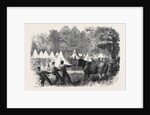 The War in America: Quartermaster's Department Killing Bullocks in the Federal Camp Virginia by Anonymous
