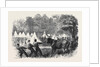 The War in America: Quartermaster's Department Killing Bullocks in the Federal Camp Virginia by Anonymous