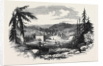 New Gold Diggings in Nova Scotia: Gold Street Tangier by Anonymous