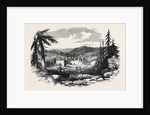New Gold Diggings in Nova Scotia: Gold Street Tangier by Anonymous