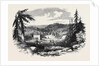 New Gold Diggings in Nova Scotia: Gold Street Tangier by Anonymous