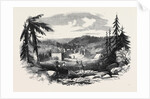New Gold Diggings in Nova Scotia: Gold Street Tangier by Anonymous
