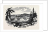New Gold Diggings in Nova Scotia: Gold Street Tangier by Anonymous
