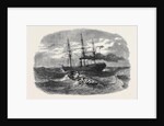 Picking Up a Man Overboard from the Peninsular and Oriental Company's Ship Candia in the Red Sea. by Anonymous