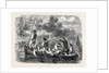 The Civil War in America: Confederates Trapping a Boat's Crew of the Potomac Fleet by Anonymous